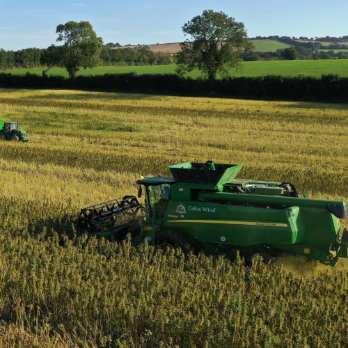 Hemp: The Answer to Sustainable Farming By Celtic Wind – 1st Nov 2022