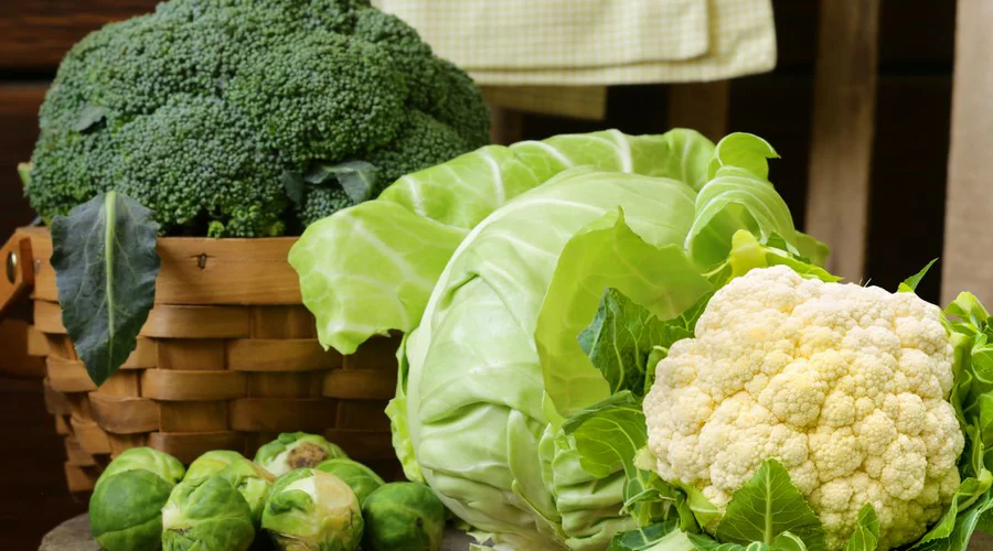 How to grow brassicas (cabbage family) like broccoli, brussels sprounts, cauliflower, and cabbage in autumn