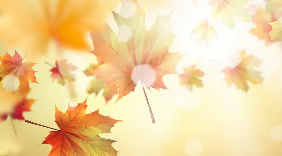 10 Skincare Tips this Autumn